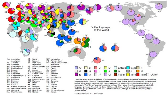 world map haplogroups Y DNA